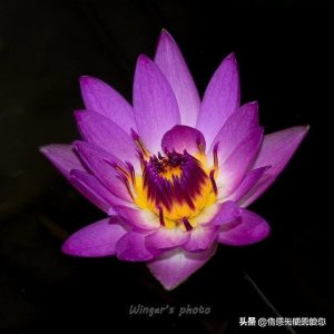 ​情侣之间100个说话套路_各种撩人的套路对话