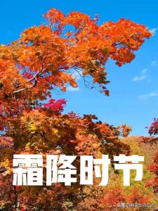 ​老话说：“时逢霜降不见霜”，有啥预兆？明年是不是好年景？