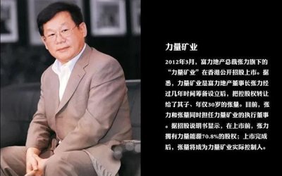 ​谁来解救富力公子？