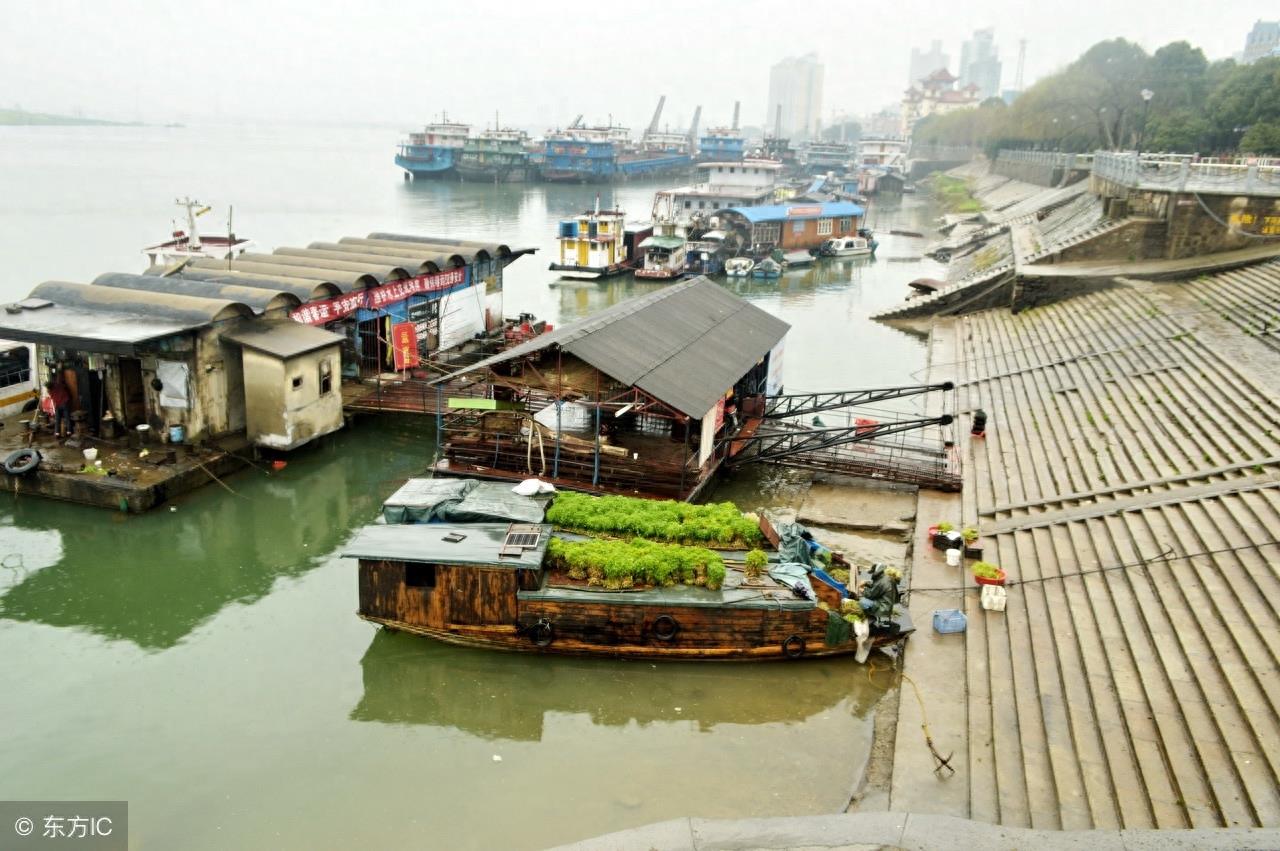 寻味中国：一道闻名遐尔，风味独特的优良野菜——泥蒿
