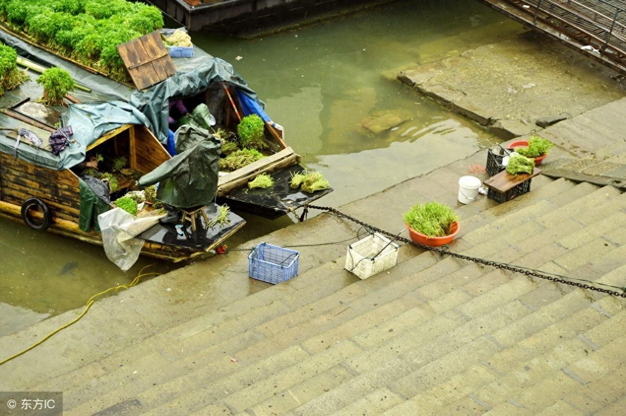 寻味中国：一道闻名遐尔，风味独特的优良野菜——泥蒿