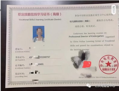 ​幼儿园职业园长证书有几种？