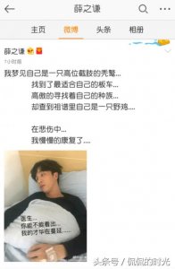 ​一年17档综艺的薛之谦，累垮说自己活该