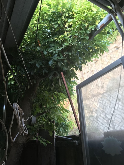 佛教超度法会——瑜伽焰口