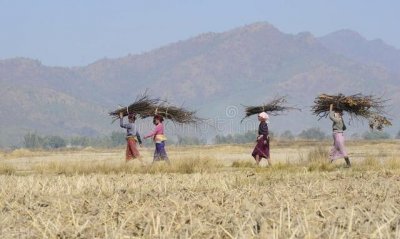 ​曼尼普尔，到底有什么来头？