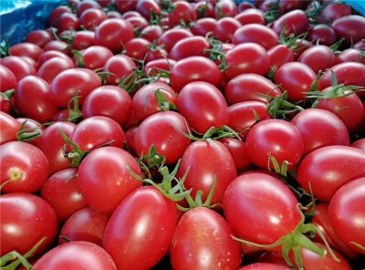 ​圣女果究竟是蔬菜还是水果？官方回答来了，它应该属于这一类