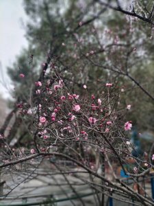 ​水浒人物故事：公孙胜小传