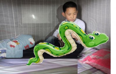​广东13岁男孩与蟒蛇“同居”12年，枕着蟒蛇睡觉，蛇为何不攻击他