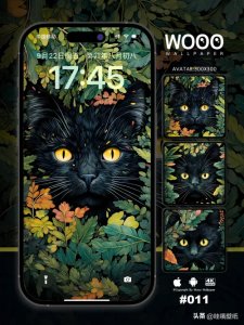 ​壁纸11｜黑猫静谧系列