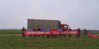 ​万羽决战“洲际杯”宁夏中卫站第三关决赛冠军揭晓