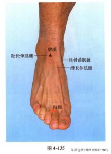 ​足阳明胃经经穴——内庭穴