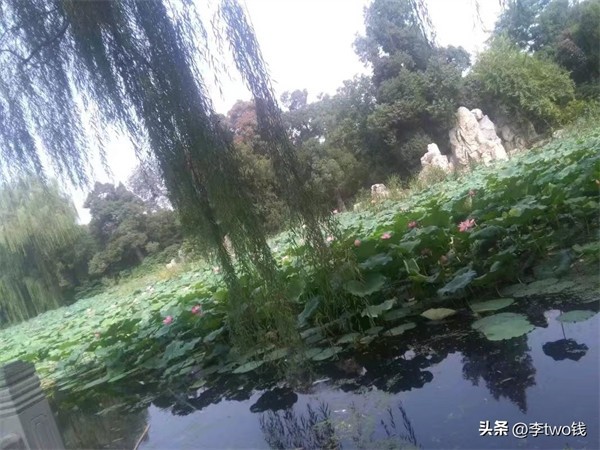 清华大学在几环(清华大学详细地址在哪里)