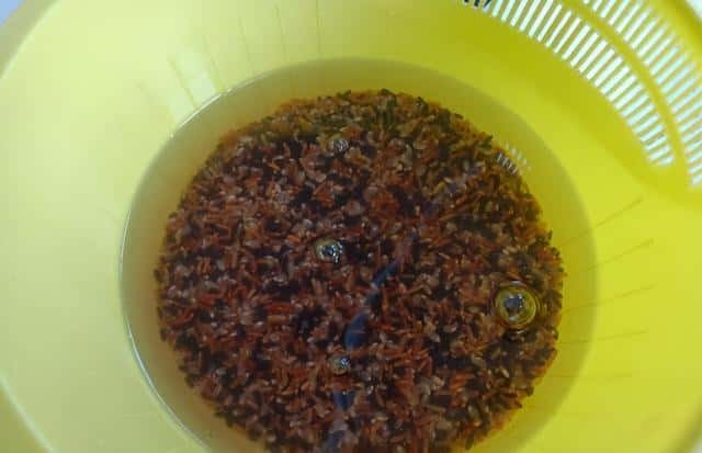 三色糙米饭是哪三种米怎么吃（三色米饭是哪三种米）