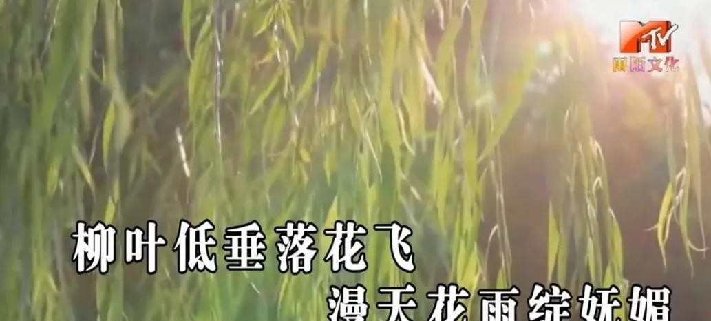 歌词片片相思赋予谁（片片相思赋予谁这首歌表达意思）