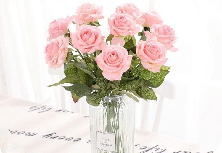 粉红玫瑰适合送哪些人（粉红玫瑰的花语是什么意思）