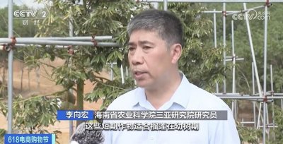 ​首批国产榴莲本月上市，金枕榴莲大降价！“10元3斤”不远了？专家预判价格