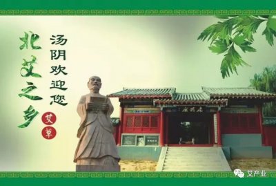 ​艾草图片艾草的种类（图文讲解5种艾草的种类）