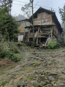 ​崇州九龙沟后山环线穿金凤山步道，总第37山