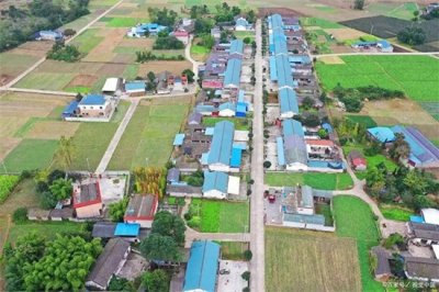 ​根据2025年山东省“合村并镇”政策的最新动态和试点进展。