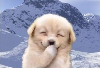 ​送你10个幽默笑话，笑不笑由你