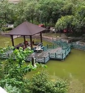 ​成都一女子居家静默目睹楼上邻居钓鱼