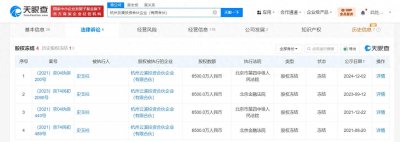 ​史玉柱所持6500万元股权再被冻结