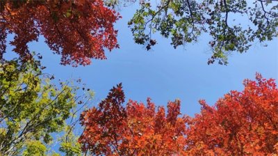 ​详解：全实木衣柜定制！一篇说清楚