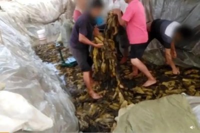 ​康师傅被起诉！看看代言过康师傅方便面的明星都有谁？