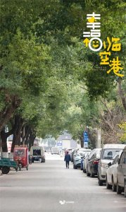 ​安全又幸福！东西湖这个社区大变样
