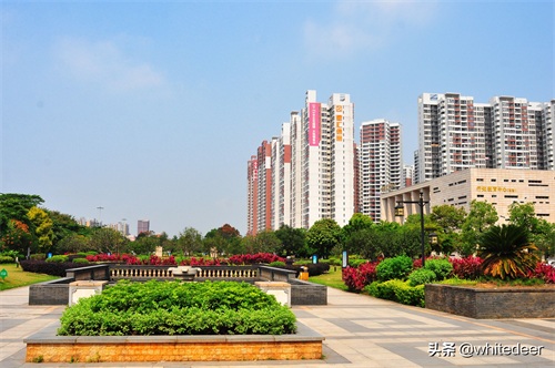 随拍东江之滨小镇 --- 惠州市 园洲镇