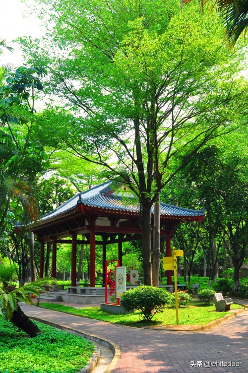 随拍东江之滨小镇 --- 惠州市 园洲镇