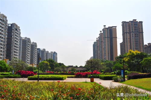 随拍东江之滨小镇 --- 惠州市 园洲镇