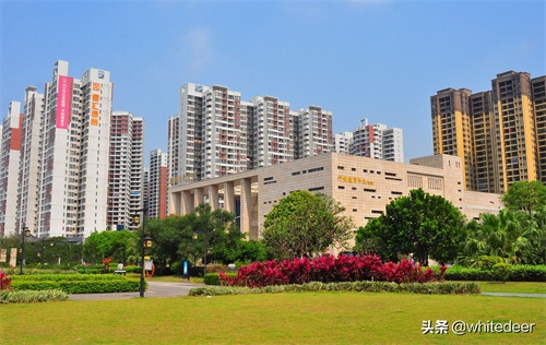 随拍东江之滨小镇 --- 惠州市 园洲镇