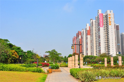 随拍东江之滨小镇 --- 惠州市 园洲镇