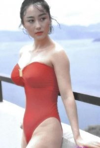 ​利智~功夫皇帝李连杰背后的女人