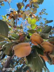 ​#成功靠实力还是靠机遇# “成功：靠实力还是靠机遇...