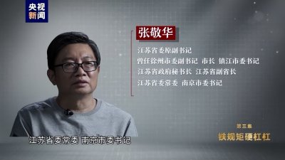 ​既想当官又想拿钱，同学聚会成权钱交易所……张敬华敛财之路披露