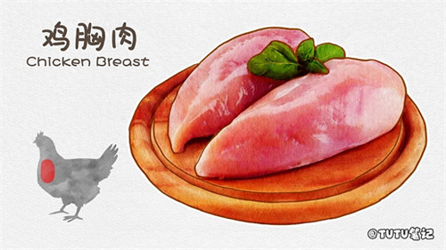 鸡胸肉是鸡的哪个部位(鸡胸肉是合成肉吗)