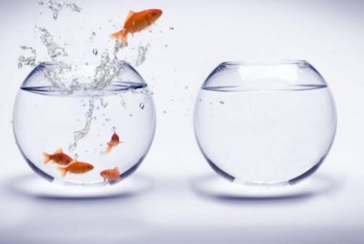 ​金鱼缸放在家里什么位置* 金鱼缸摆在哪个位置好 金鱼缸摆放在阳台可好