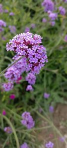 ​吐鲁番独山子大峡谷风光——我的北疆之旅（7）