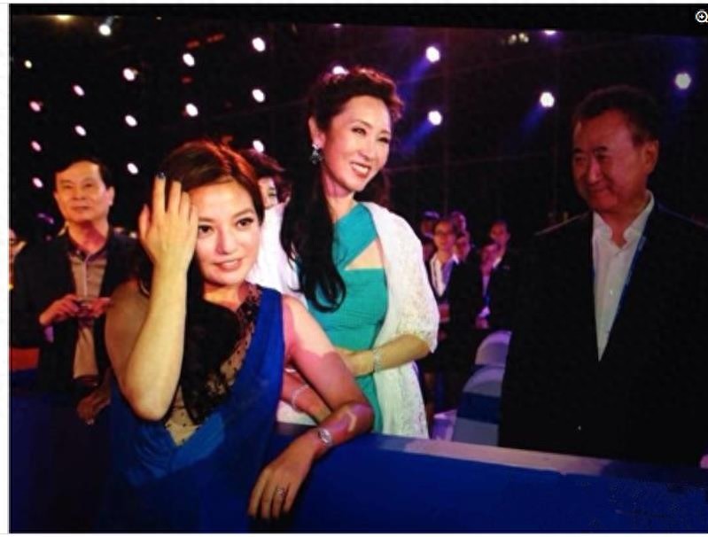 王健林老婆林宁，自己拥有投资集团，气质不凡，背景深厚