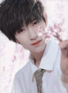 ​贺峻霖介绍百科