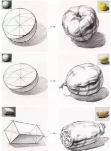 ​「素描教程」单个静物素描结构图