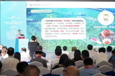 ​开化龙顶亮相2023浙江绿茶（兰州）博览会
