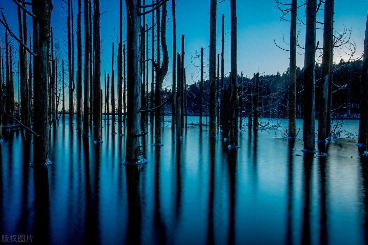 明月何时照人来——5A景区明月山