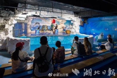 ​武汉东湖海洋世界恢复开放 采取分时段预约制网络购票