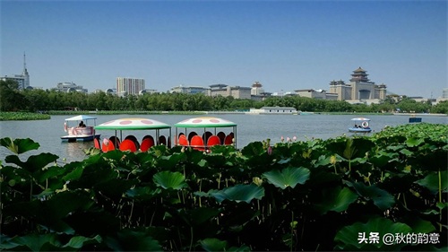 北京莲花池公园,有莲花池荷花节、庙会,距今有3000多年的历史