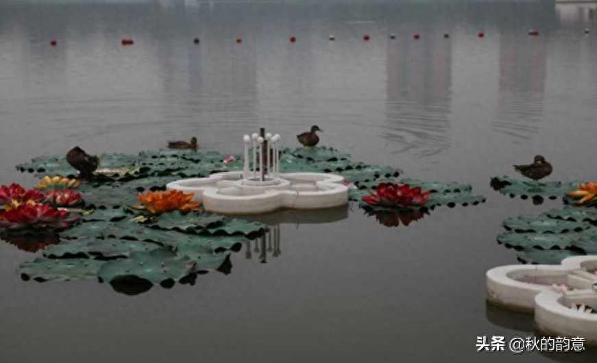北京莲花池公园,有莲花池荷花节、庙会,距今有3000多年的历史
