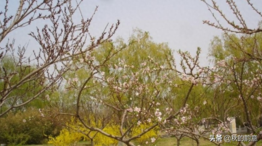 北京莲花池公园,有莲花池荷花节、庙会,距今有3000多年的历史