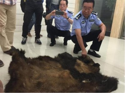 ​自家羊被咬死后，男子猎杀大熊猫，得70斤肉卖了4800元，被判13年